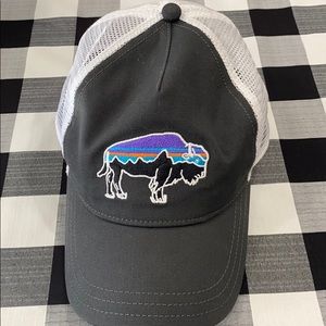 Patagonia Cap